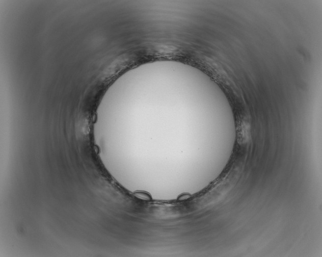 X0000111660472200907311141