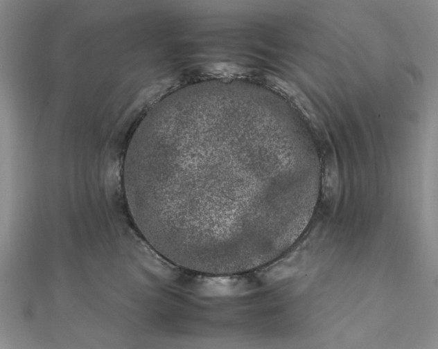 X0000111660473200907311141