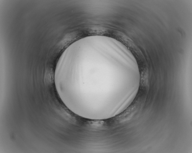 X0000111660474200907311142