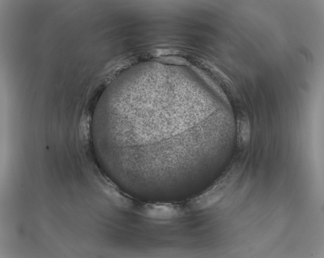 X0000111660475200907311142