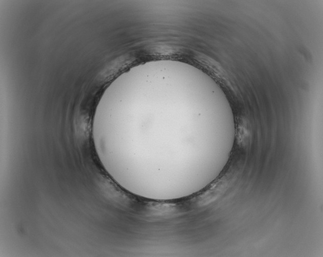 X0000111660476200907311142