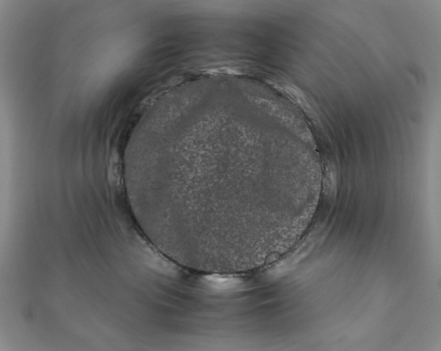 X0000111660477200907311142