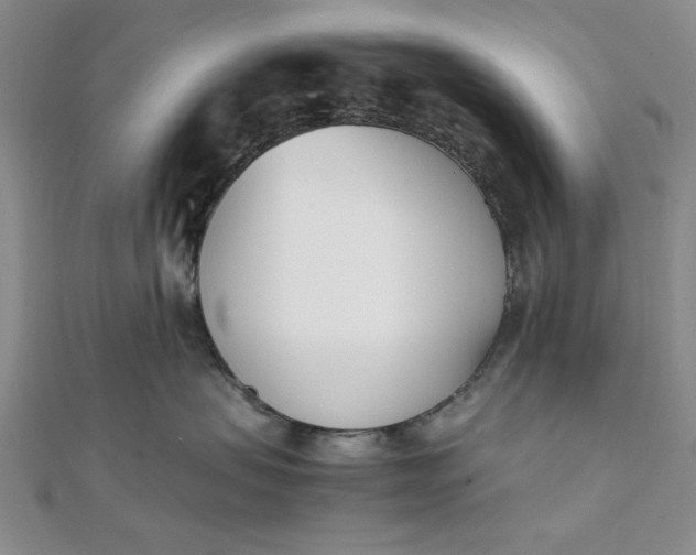 X0000111660479200907311142