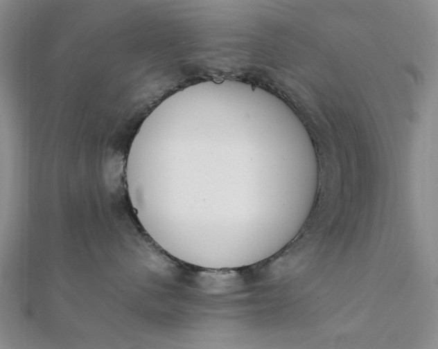 X0000111660480200907311142