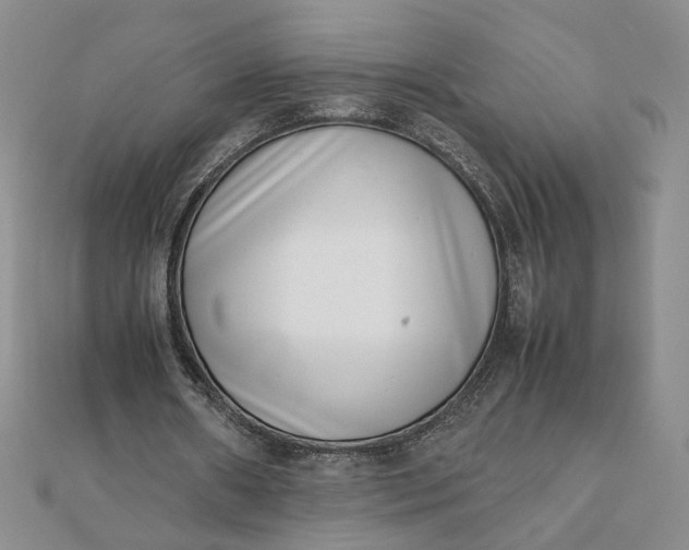 X0000111660482200907311141