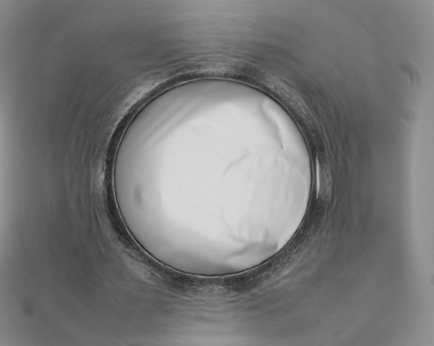 X0000111660483200907311141