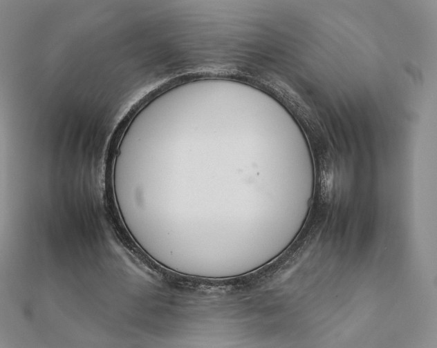 X0000111660484200907311141