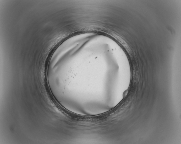 X0000111660485200907311141