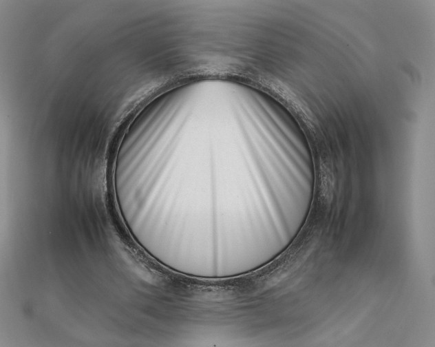 X0000111660486200907311141