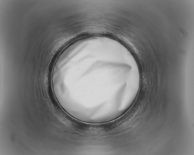 X0000111660487200907311141