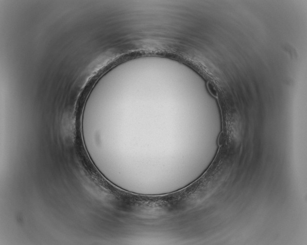 X0000111660488200907311141