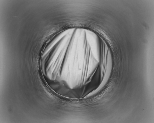 X0000111660489200907311141