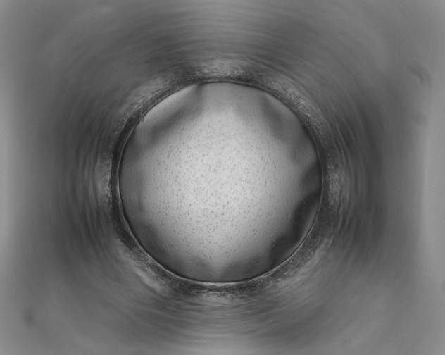 X0000111660490200907311141