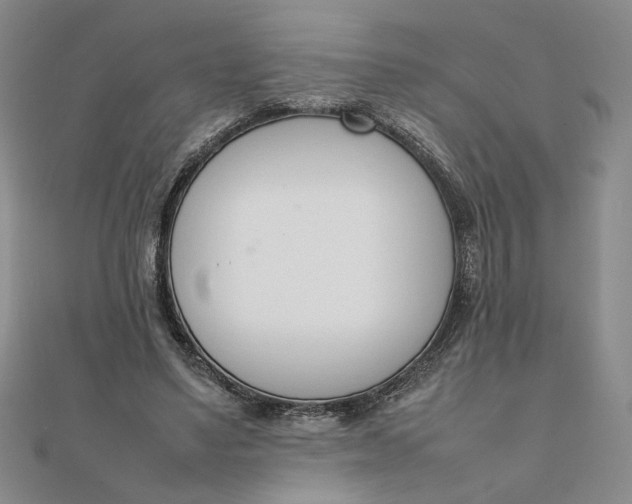 X0000111660491200907311141