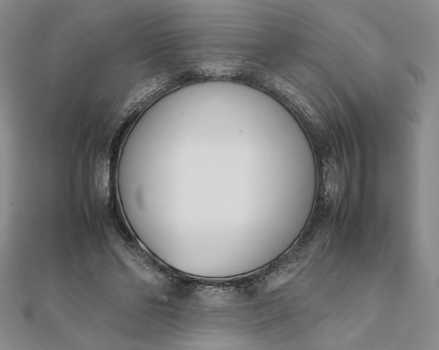 X0000111660494200907311141