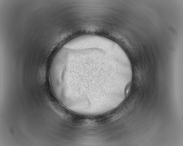 X0000111660496200907311141