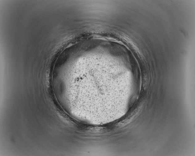 X0000111660497200907311141