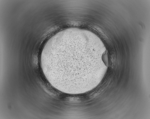 X0000111660500200907311141