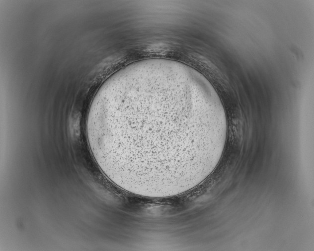 X0000111660504200907311140