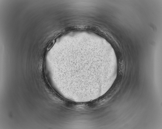 X0000111660505200907311140