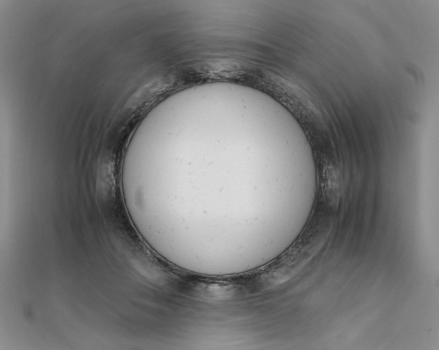 X0000111660506200907311140