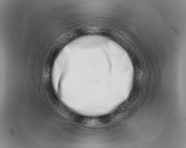 X0000111660507200907311140