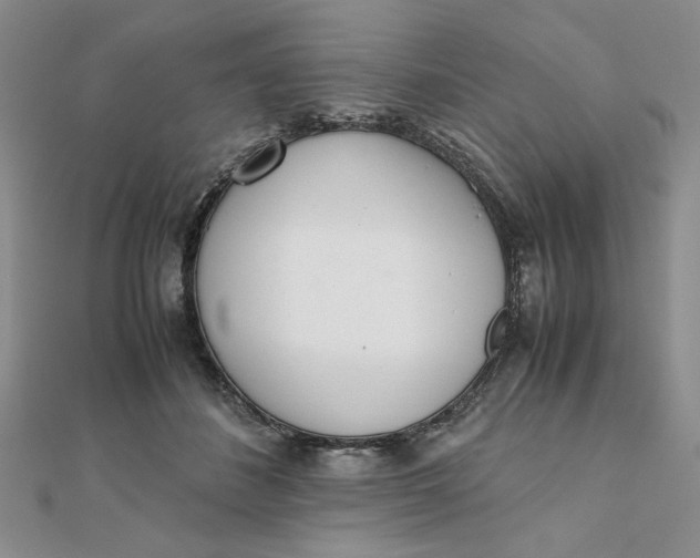 X0000111660508200907311140