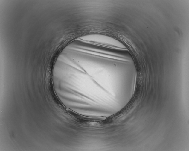 X0000111660509200907311140