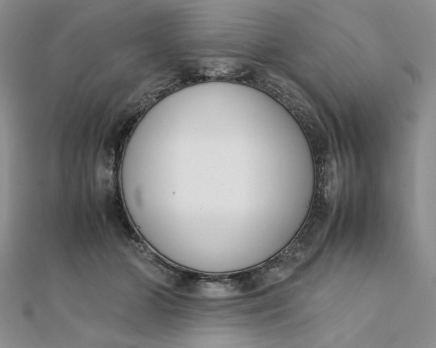 X0000111660510200907311140