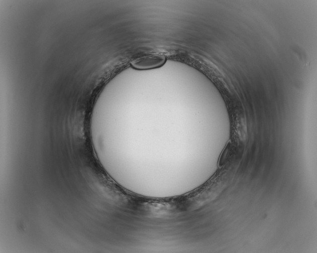 X0000111660512200907311140