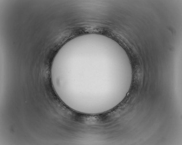 X0000111660513200907311140