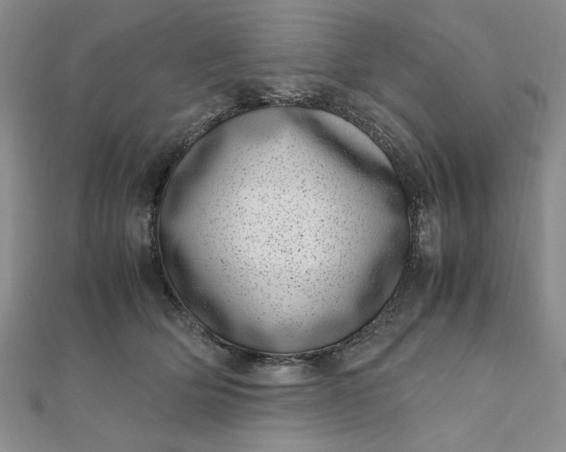 X0000111660514200907311140