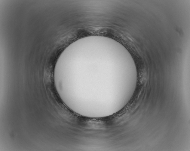 X0000111660515200907311140