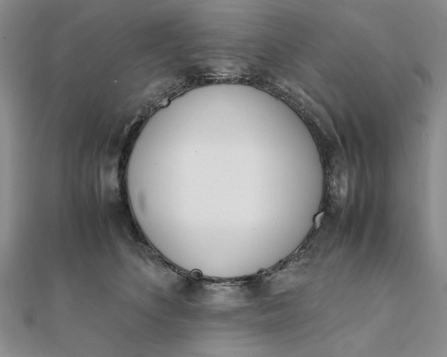 X0000111660516200907311140