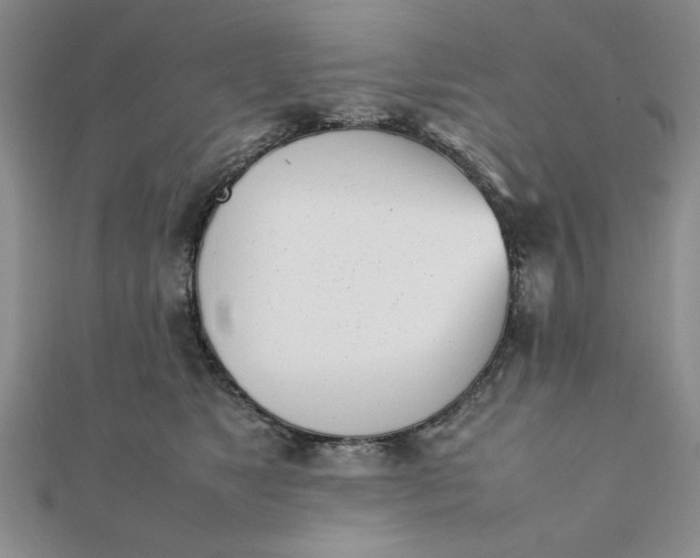 X0000111660517200907311140