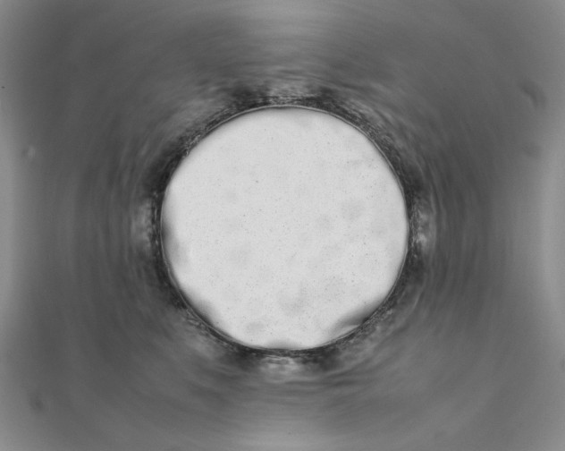 X0000111660519200907311140