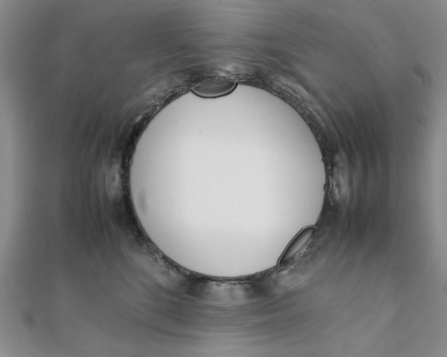 X0000111660520200907311140