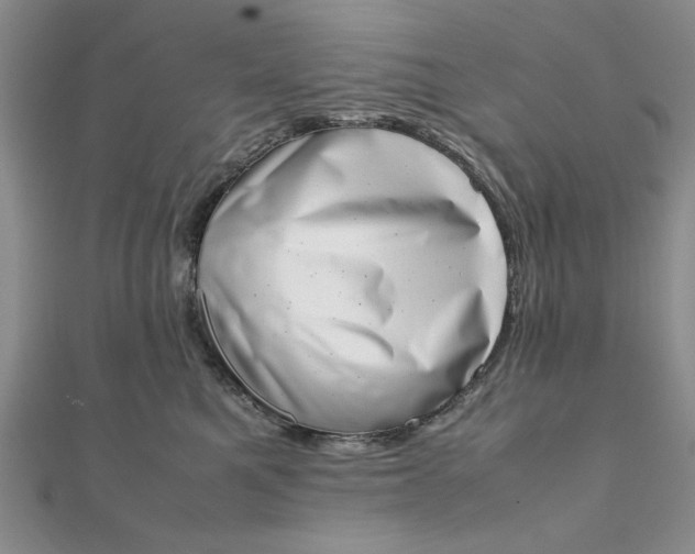 X0000111660521200907311140