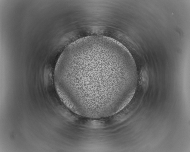 X0000111660522200907311140