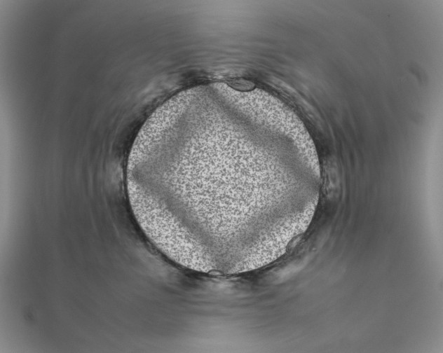 X0000111660523200907311140