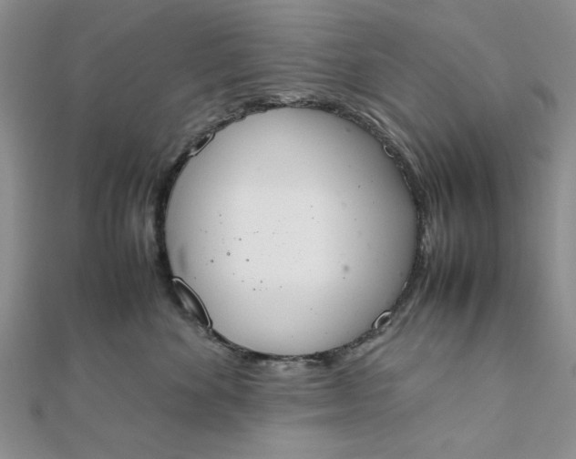 X0000111660524200907311140