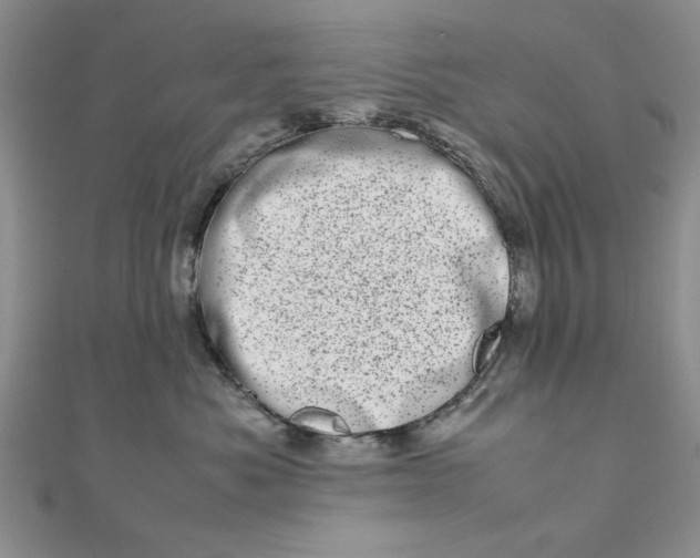 X0000111660525200907311140