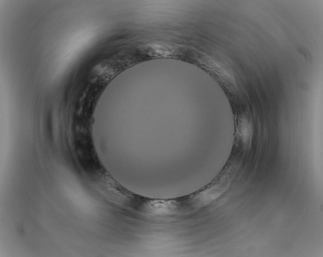 X0000111660526200907311140