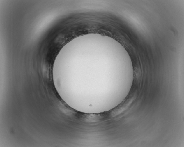 X0000111660527200907311140