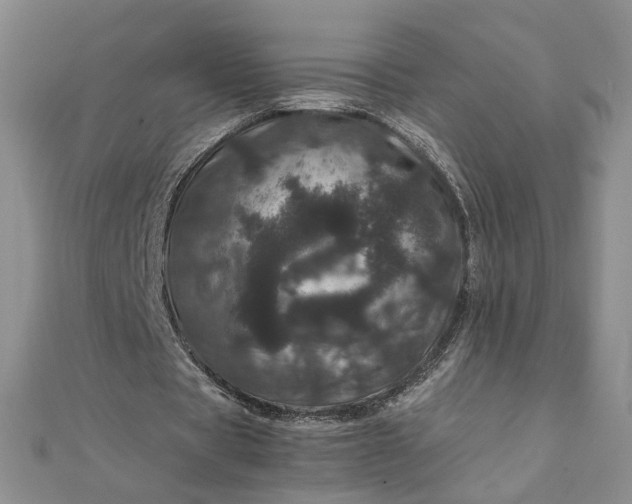 X0000111660529200907311140