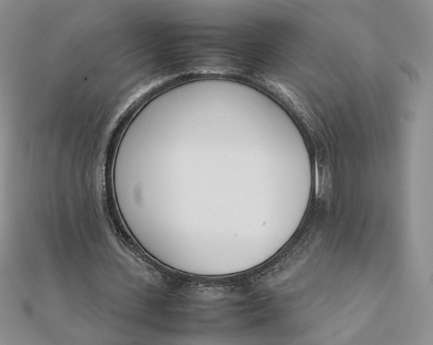 X0000111660531200907311140