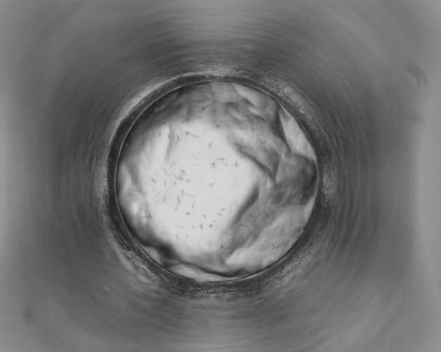 X0000111660532200907311140