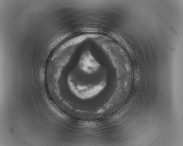 X0000111660533200907311140