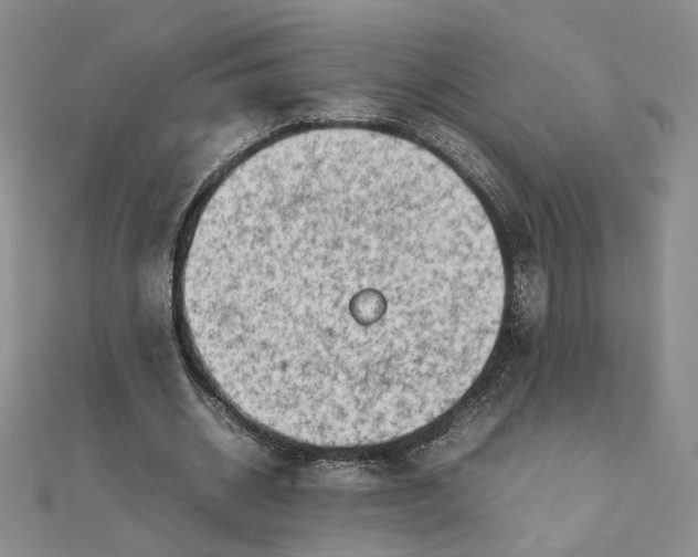 X0000111660534200907311140