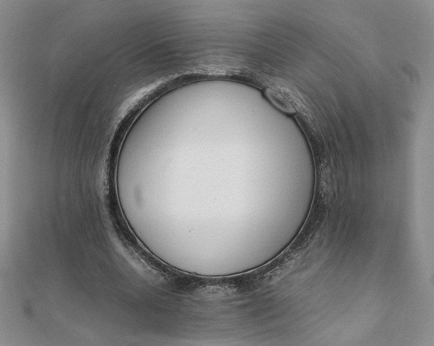 X0000111660536200907311140